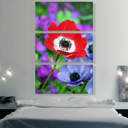 Red Anemone in Colorful Garden
