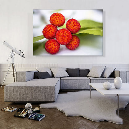 Red Arbutus Fruits