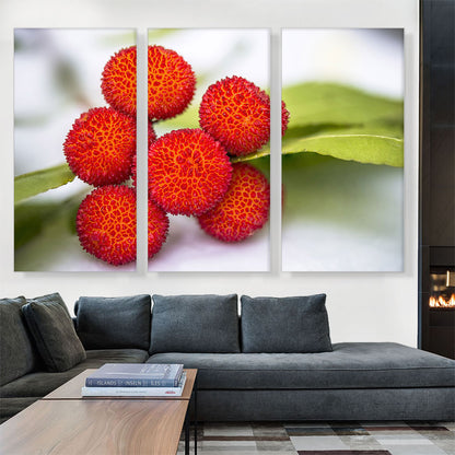 Red Arbutus Fruits
