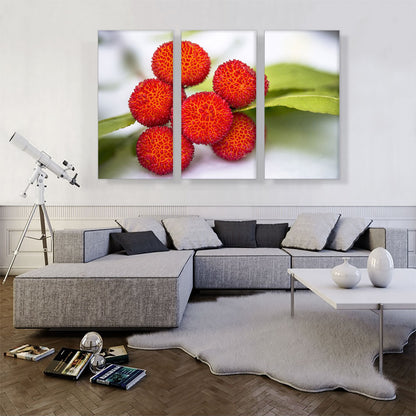 Red Arbutus Fruits