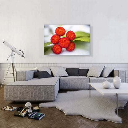 Red Arbutus Fruits