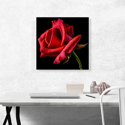 Red Rose Home decor