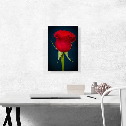 Rose Flower Home Decor Rectangle