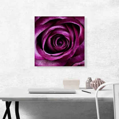 Rose Flower Home Decor Square