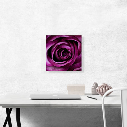 Rose Flower Home Decor Square