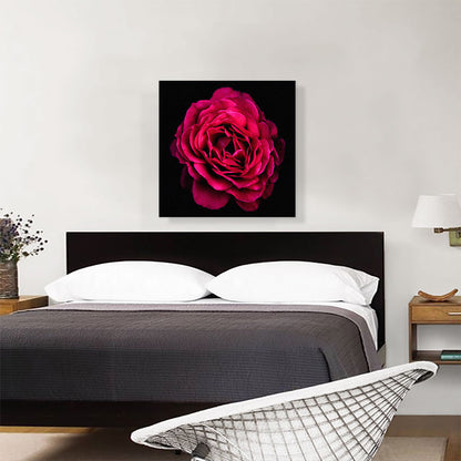 Rose Paint Home decor