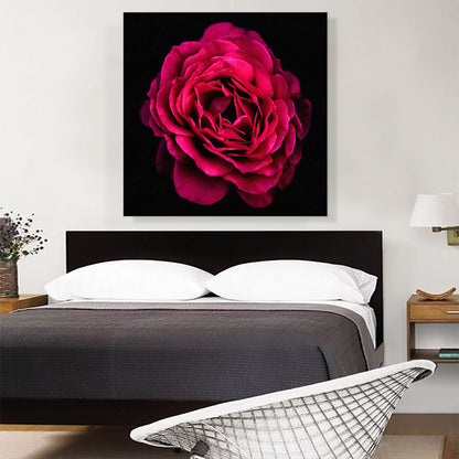Rose Paint Home decor