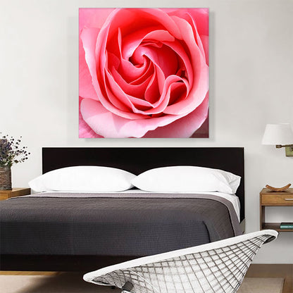 Rose Texture Home decor