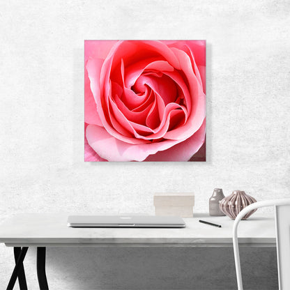 Rose Texture Home decor