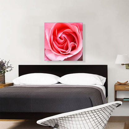 Rose Texture Home decor