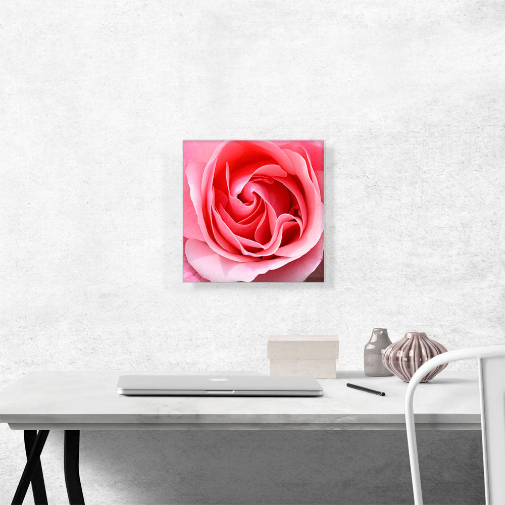 Rose Texture Home decor