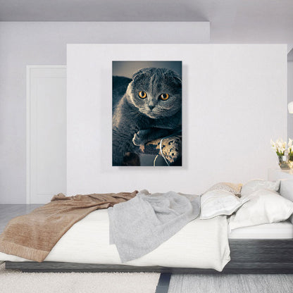Scottish Cat Home decor