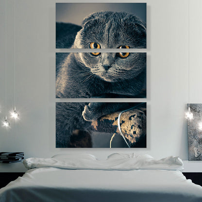 Scottish Cat Home decor