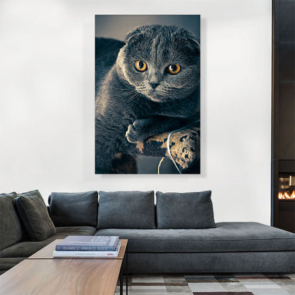 Scottish Cat Home decor