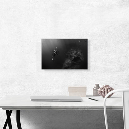 Scuba Diver Home Decor Rectangle