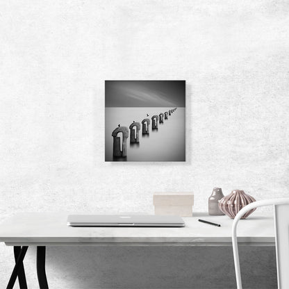 Sea Of Fog With Birds Home decor
