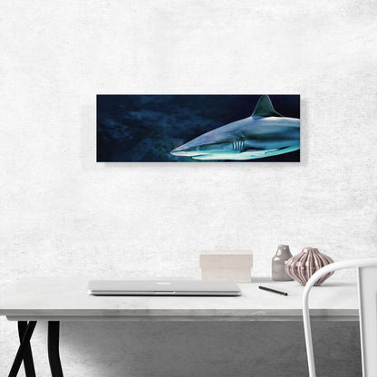 Shark In Ocean Home Decor Panoramic