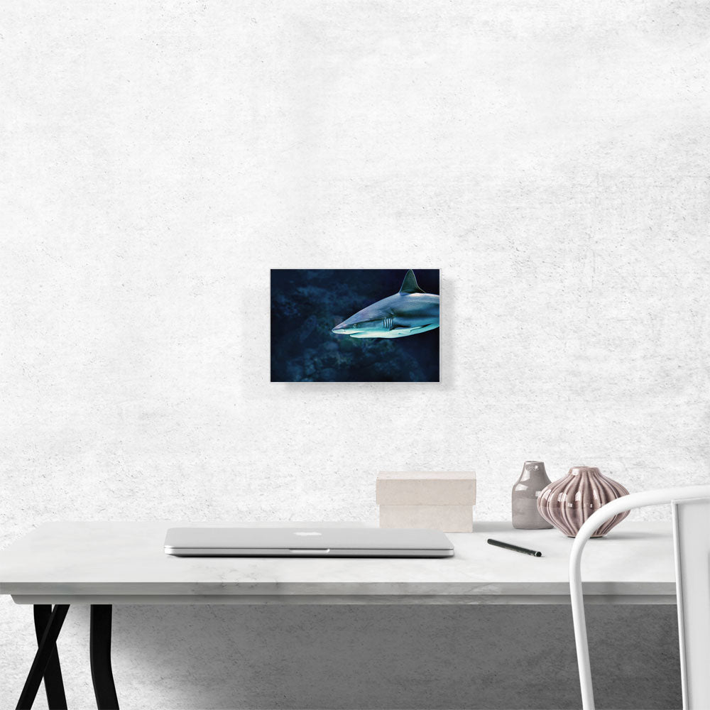 Shark In Ocean Home Decor Rectangle