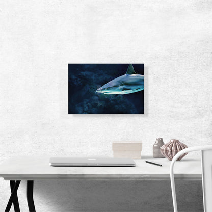 Shark In Ocean Home Decor Rectangle