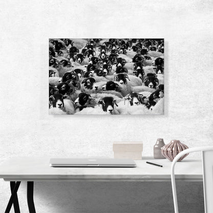 Sheep Home Decor Rectangle