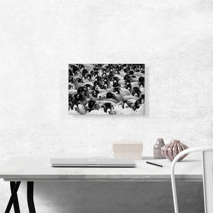 Sheep Home Decor Rectangle