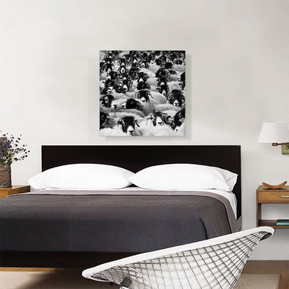 Sheep Home Decor Square