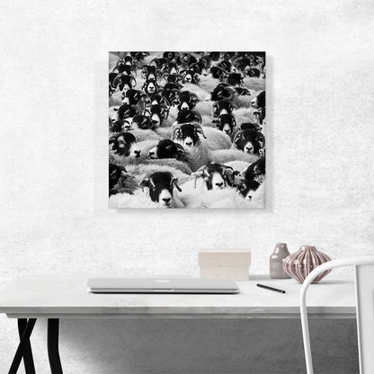 Sheep Home Decor Square
