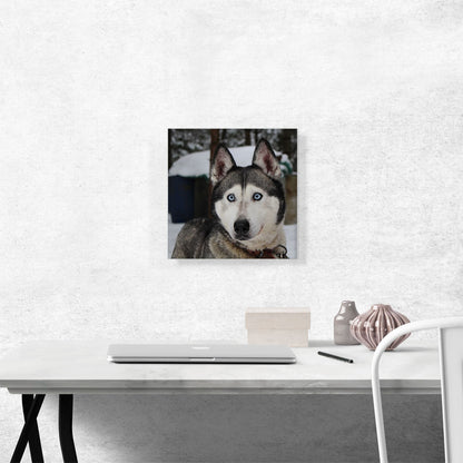 Siberian Husky Home decor