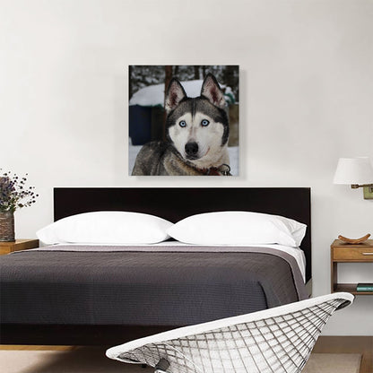Siberian Husky Home decor