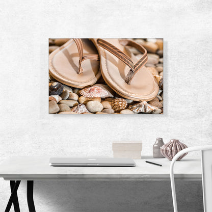 Slippers on Rocks and Shells