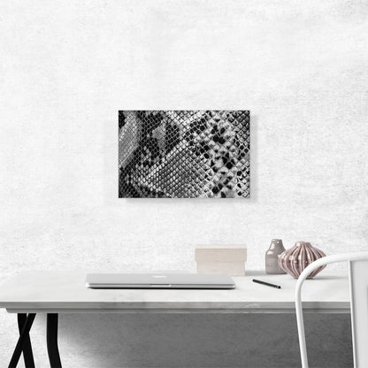 Snake Skin Home Decor Rectangle