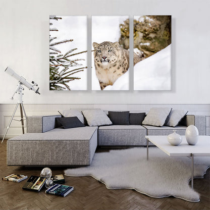 Snow Leopard Home decor