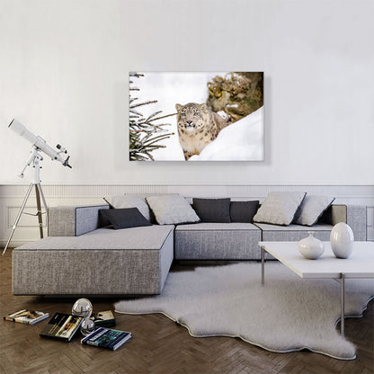 Snow Leopard Home decor
