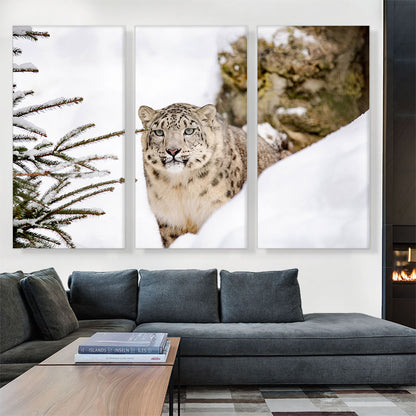 Snow Leopard Home decor