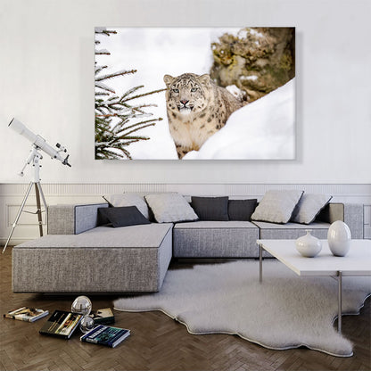Snow Leopard Home decor