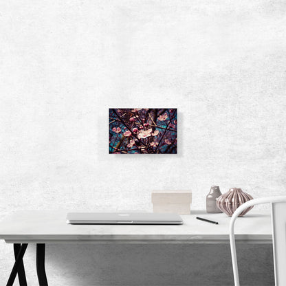 Spring Almond Blossom Flowers