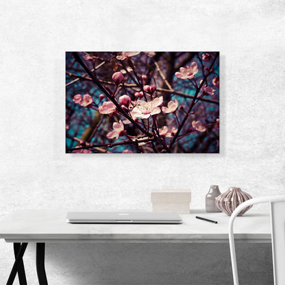 Spring Almond Blossom Flowers