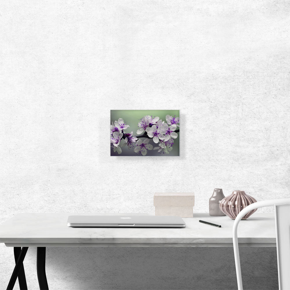 Spring Blossom Flower Rectangle