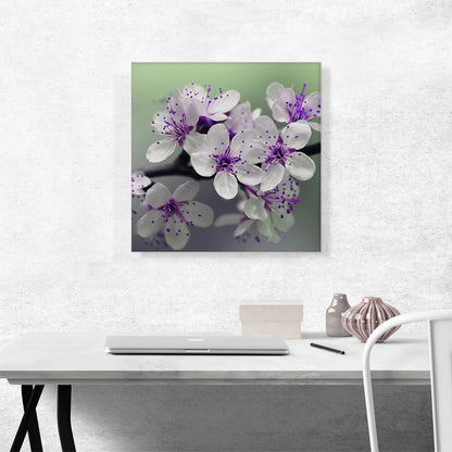 Spring Blossom Flower Square