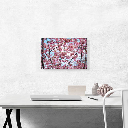 Spring Cherry Blossom Tree Home decor