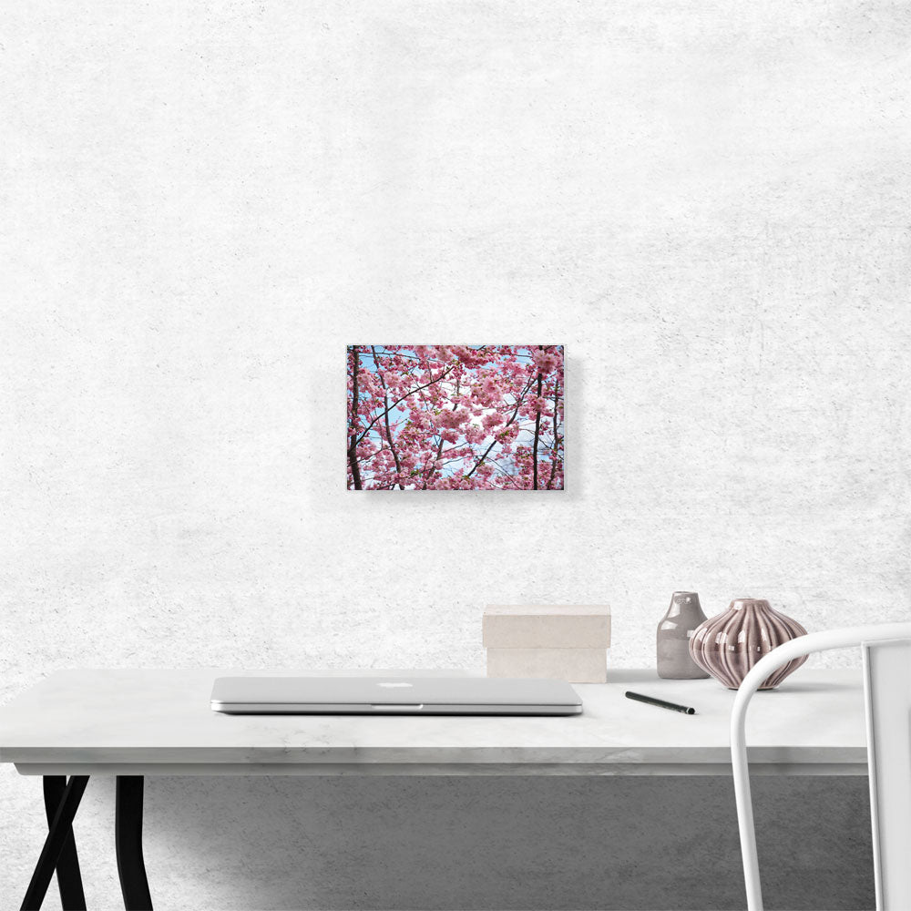 Spring Cherry Blossom Tree Home decor