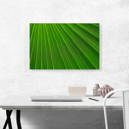 Abstract Green Leaf