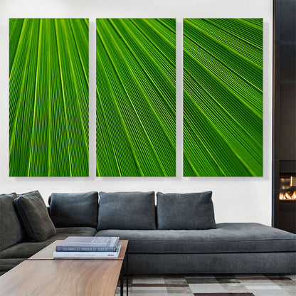Abstract Green Leaf