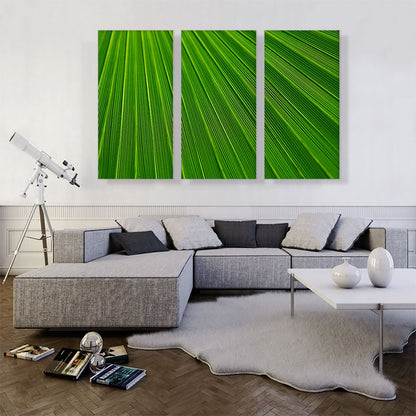 Abstract Green Leaf