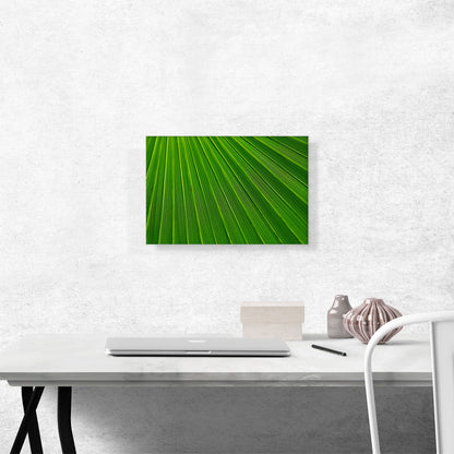 Abstract Green Leaf
