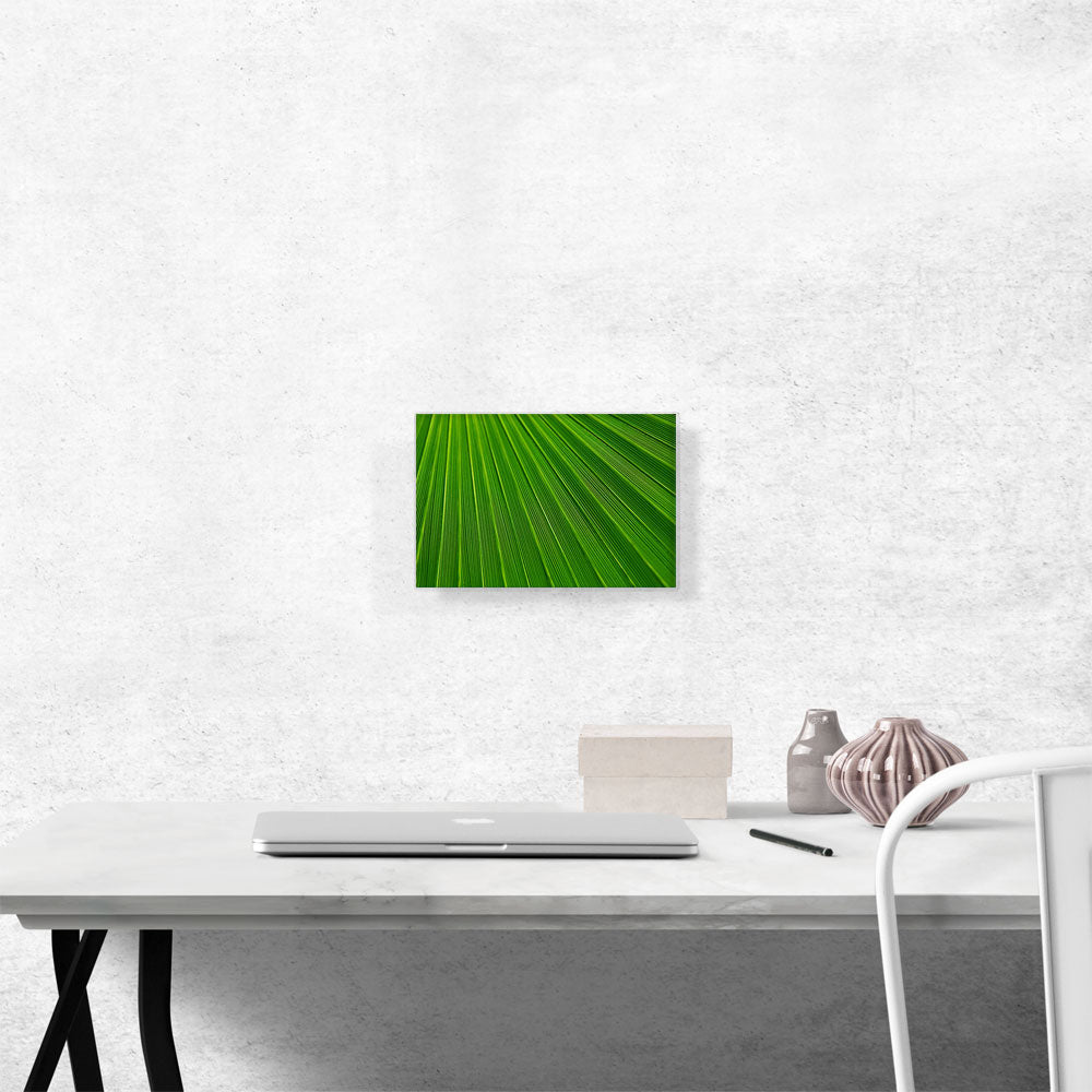 Abstract Green Leaf