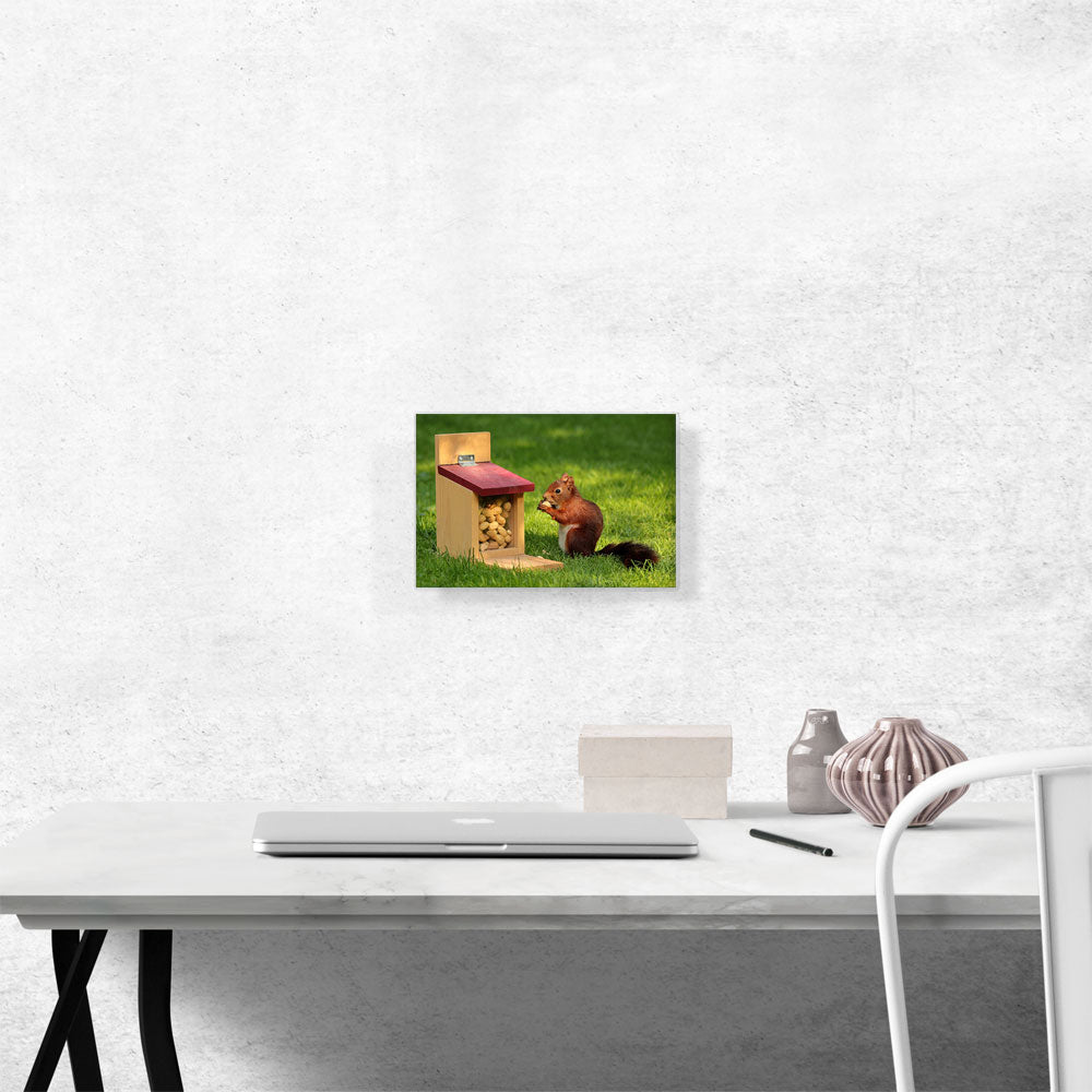 Squirrel And Peanuts Home decor
