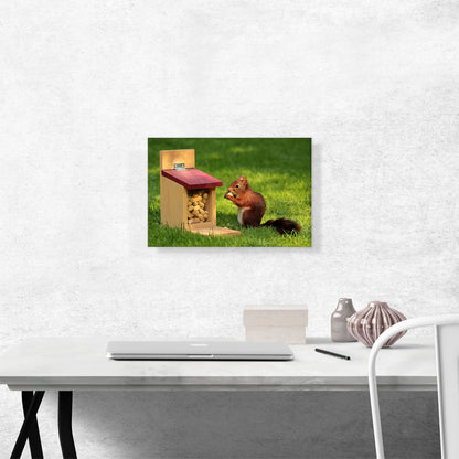 Squirrel And Peanuts Home decor