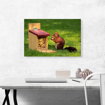 Squirrel And Peanuts Home decor
