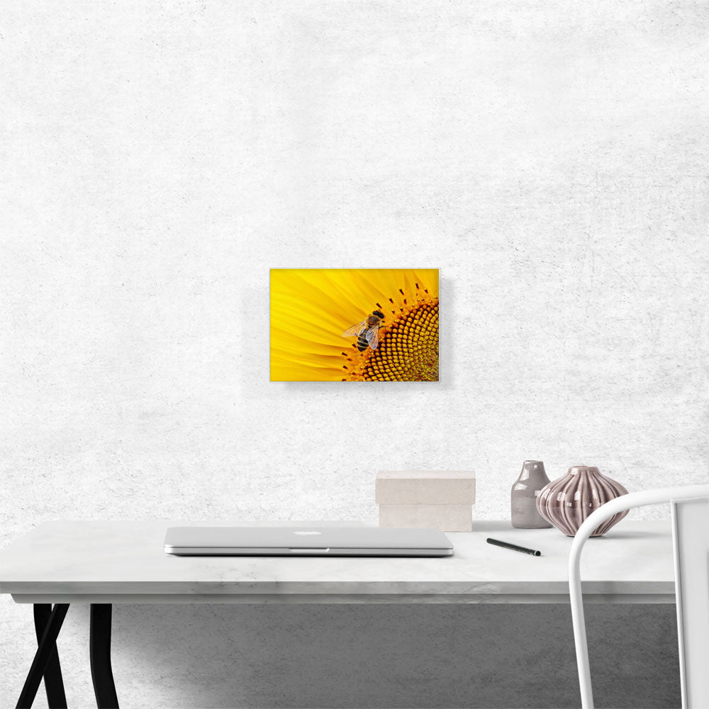 Bee On Sunflower Home decor
